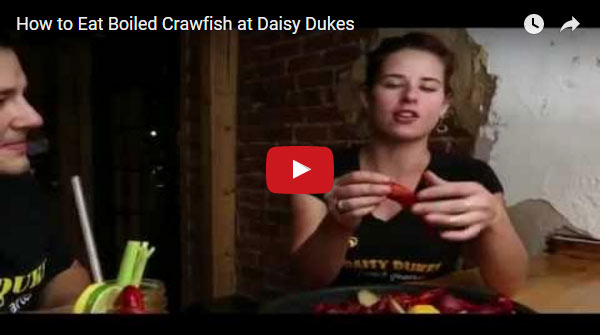 How to eat boiled crawfish at Daisy Dukes
